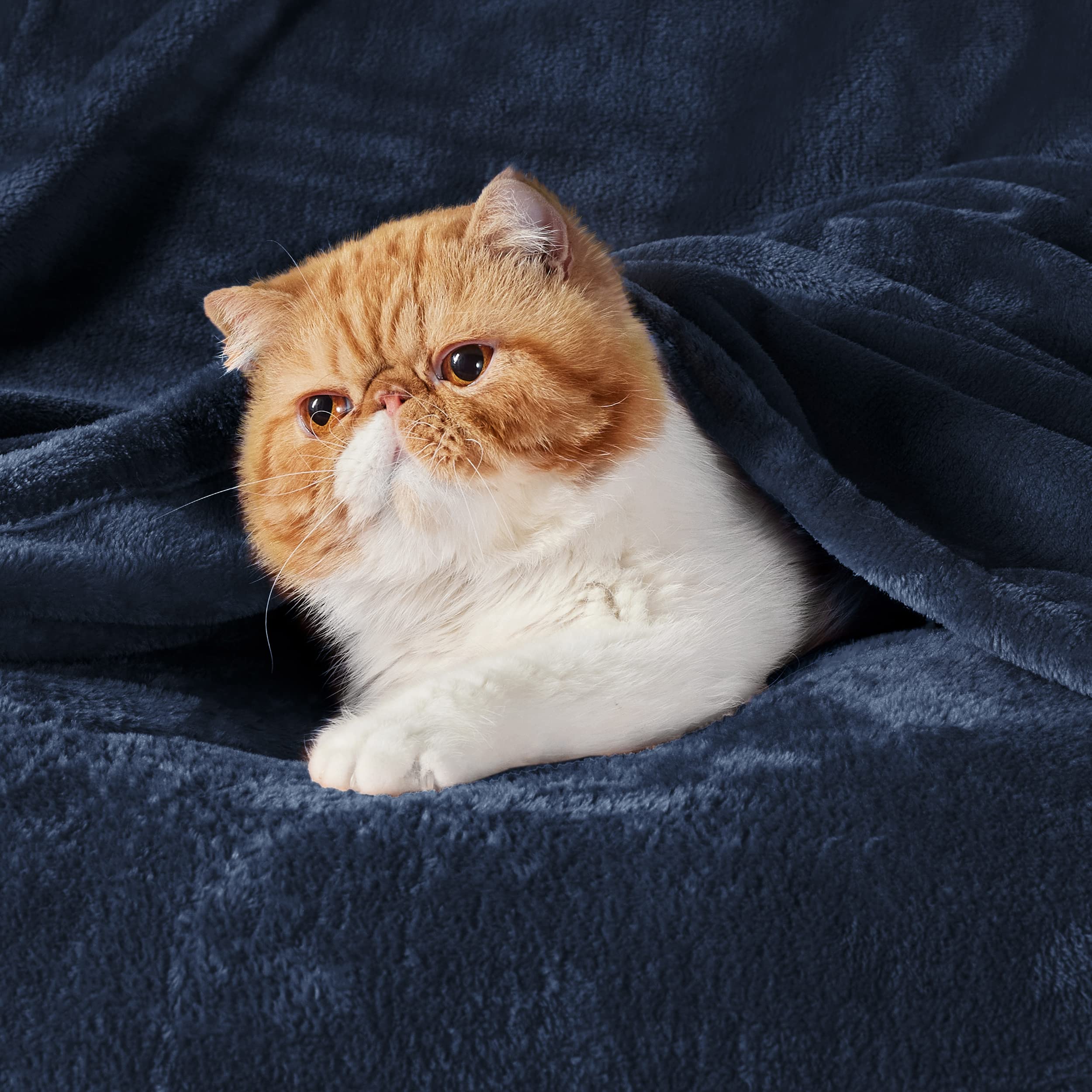 Navy Fleece Bed Blankets Queen Size- Soft Warm Fathers Day Blanket for Dad Lightweight Cozy Anti-Static Microfiber, Room Home Decor Gifts for Husband and Men, 90x90 inches
